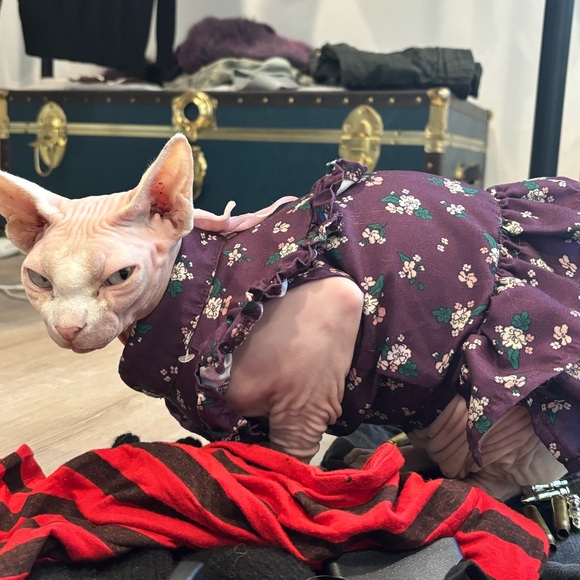 Meet the Posher Other - Meet your Posher, Yamato